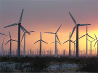 Wind Turbine